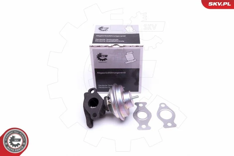 EGR Valve ESEN SKV 14SKV204