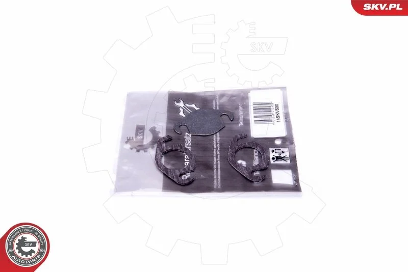 Kit de Reparação, válvula EGR ESEN SKV 14SKV500