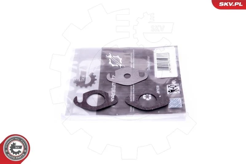 Kit de Reparação, válvula EGR ESEN SKV 14SKV501