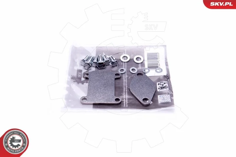 Kit de Reparação, válvula EGR ESEN SKV 14SKV502