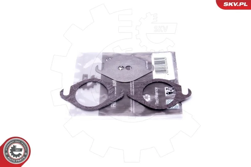 Kit de Reparação, válvula EGR ESEN SKV 14SKV503
