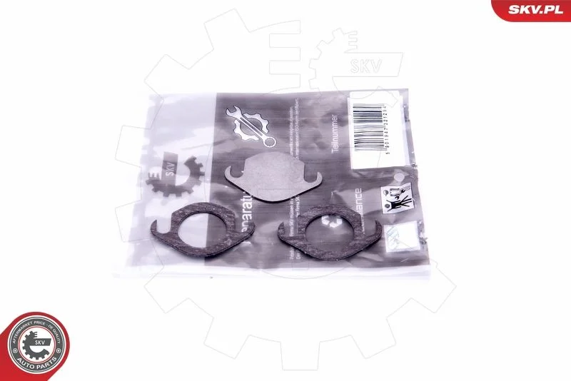 Kit de Reparação, válvula EGR ESEN SKV 14SKV506