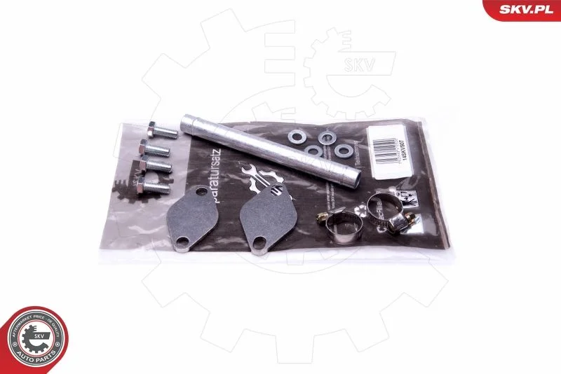 Kit de Reparação, válvula EGR ESEN SKV 14SKV507