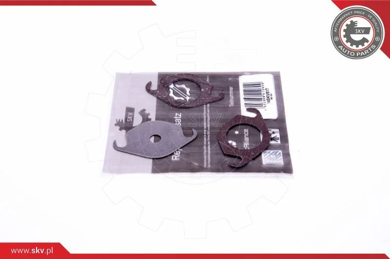 Kit de Reparação, válvula EGR ESEN SKV 14SKV517