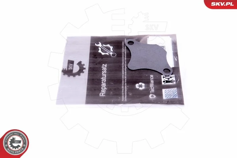 Kit de Reparação, válvula EGR ESEN SKV 14SKV520
