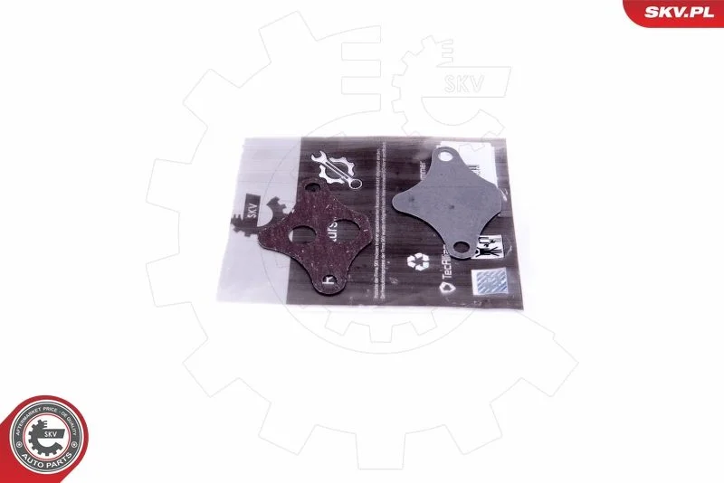 Kit de Reparação, válvula EGR ESEN SKV 14SKV523