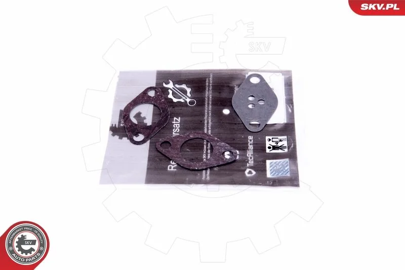 Kit de Reparação, válvula EGR ESEN SKV 14SKV525