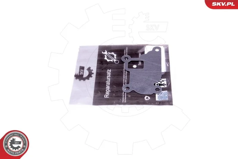 Kit de Reparação, válvula EGR ESEN SKV 14SKV526