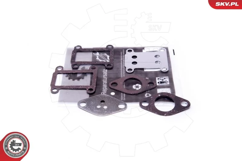 Kit de Reparação, válvula EGR ESEN SKV 14SKV528
