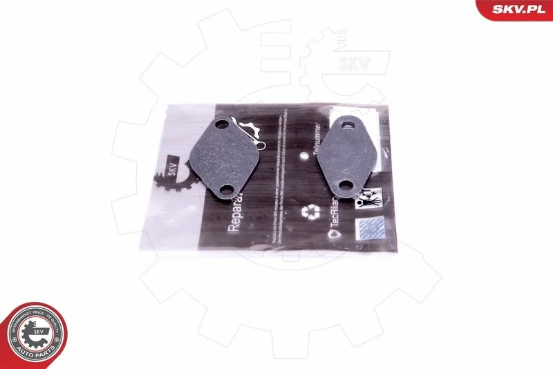 Repair Set, EGR valve ESEN SKV 14SKV529