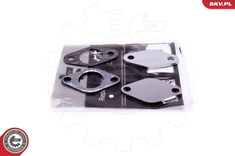 Kit de Reparação, válvula EGR ESEN SKV 14SKV530