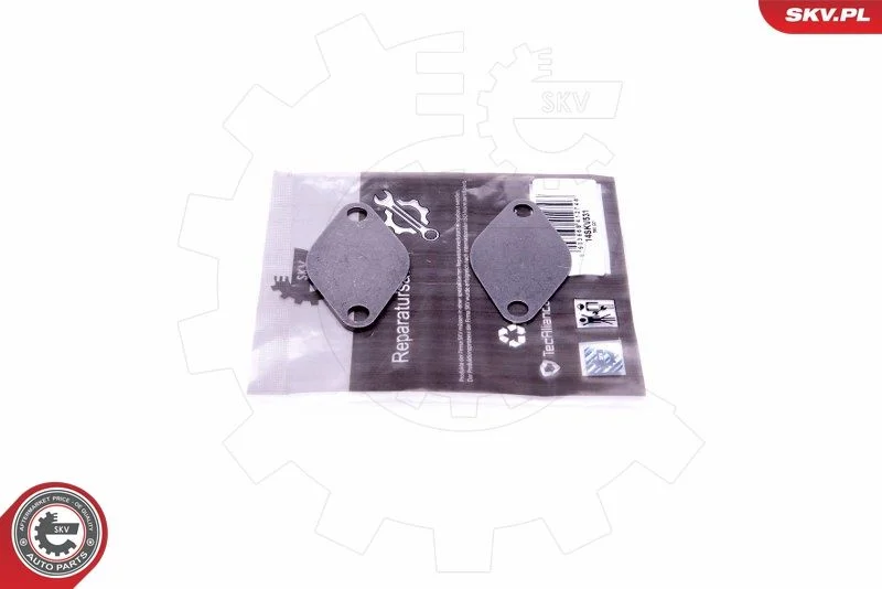 Kit de Reparação, válvula EGR ESEN SKV 14SKV531