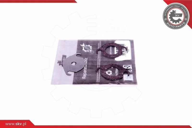 Kit de Reparação, válvula EGR ESEN SKV 14SKV536