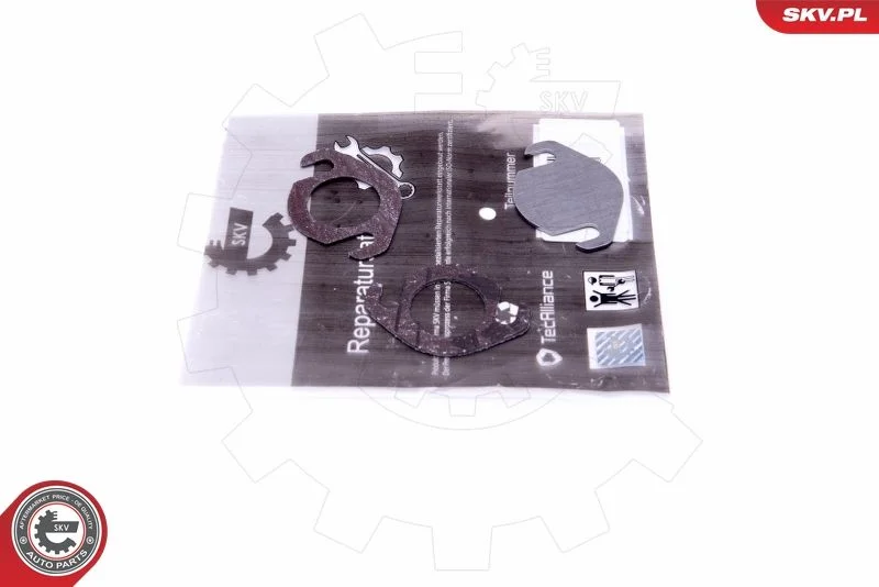 Repair Set, EGR valve ESEN SKV 14SKV539