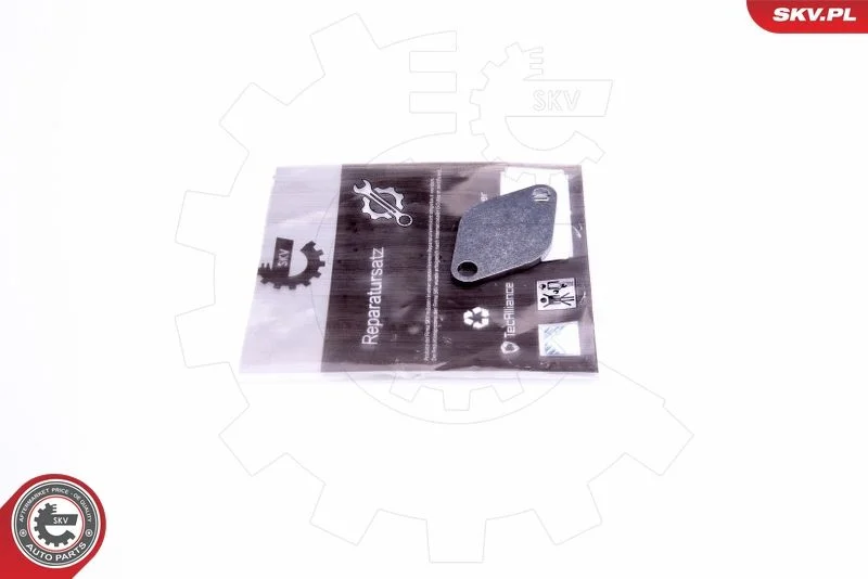 Repair Set, EGR valve ESEN SKV 14SKV541
