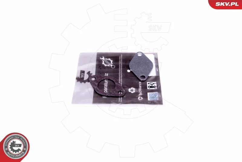 Kit de Reparação, válvula EGR ESEN SKV 14SKV542
