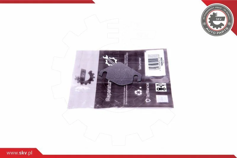 Repair Set, EGR valve ESEN SKV 14SKV544