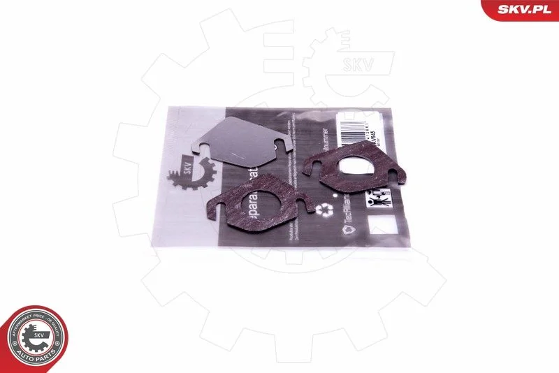 Kit de Reparação, válvula EGR ESEN SKV 14SKV545