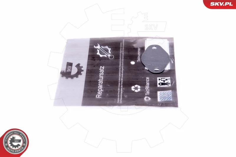 Kit de Reparação, válvula EGR ESEN SKV 14SKV547