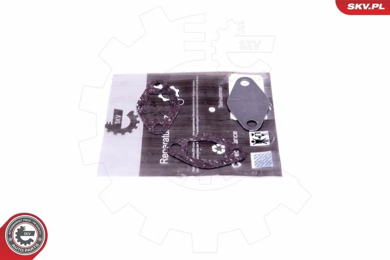 Kit de Reparação, válvula EGR ESEN SKV 14SKV548