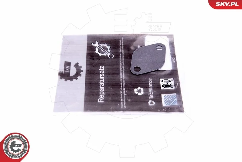 Kit de Reparação, válvula EGR ESEN SKV 14SKV549