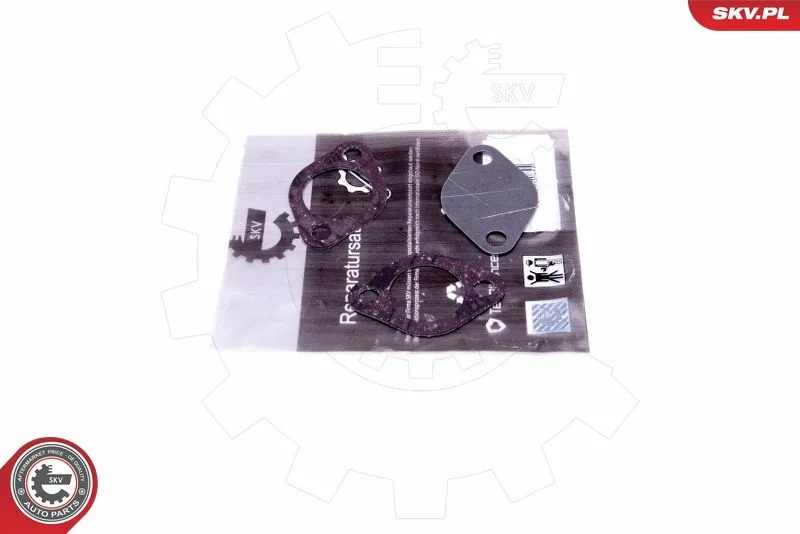 Kit de Reparação, válvula EGR ESEN SKV 14SKV550