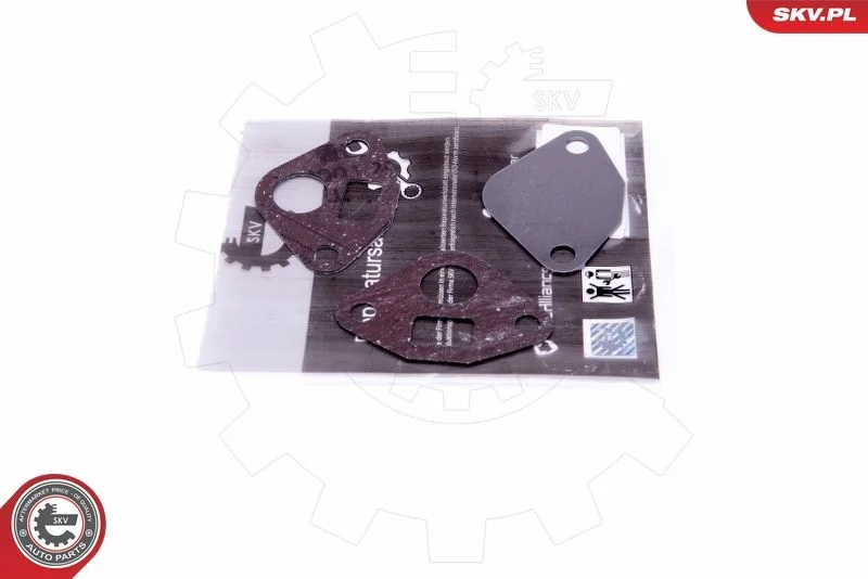 Kit de Reparação, válvula EGR ESEN SKV 14SKV553