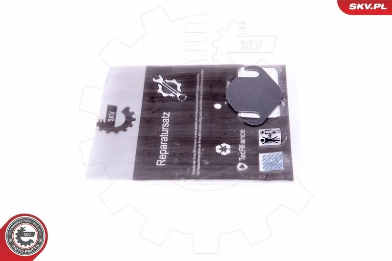 Repair Set, EGR valve ESEN SKV 14SKV556
