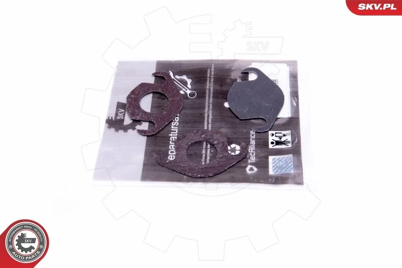 Kit de Reparação, válvula EGR ESEN SKV 14SKV557