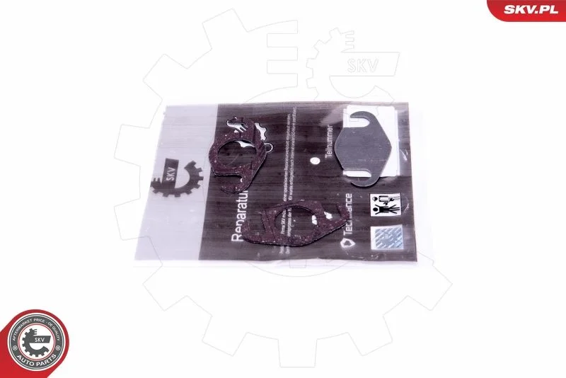 Kit de Reparação, válvula EGR ESEN SKV 14SKV558