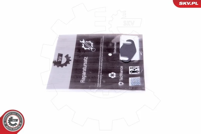 Repair Set, EGR valve ESEN SKV 14SKV559