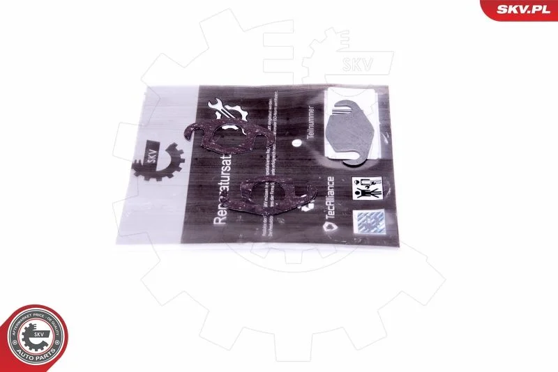 Kit de Reparação, válvula EGR ESEN SKV 14SKV560