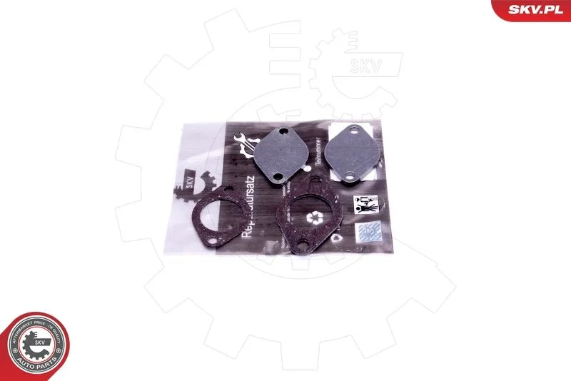 Kit de Reparação, válvula EGR ESEN SKV 14SKV562