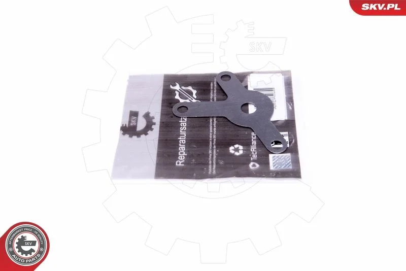 Kit de Reparação, válvula EGR ESEN SKV 14SKV563