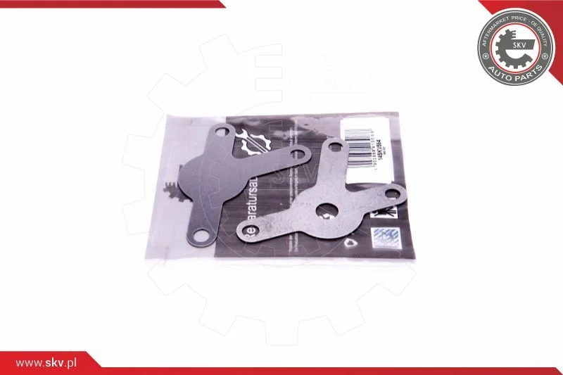 Repair Set, EGR valve ESEN SKV 14SKV564