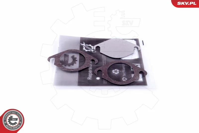 Kit de Reparação, válvula EGR ESEN SKV 14SKV568