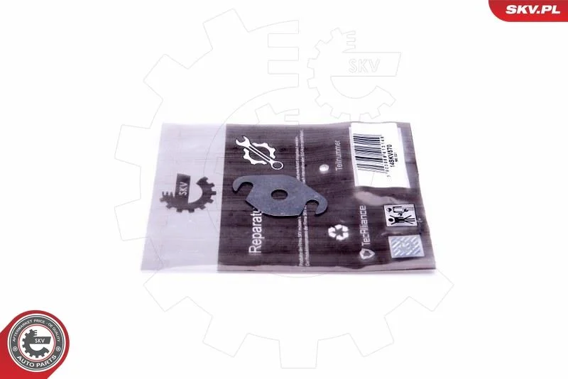 Kit de Reparação, válvula EGR ESEN SKV 14SKV570