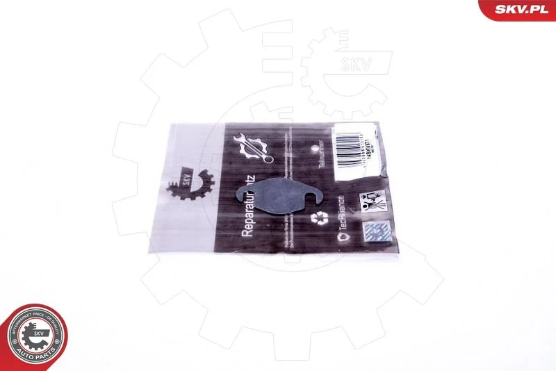 Kit de Reparação, válvula EGR ESEN SKV 14SKV571
