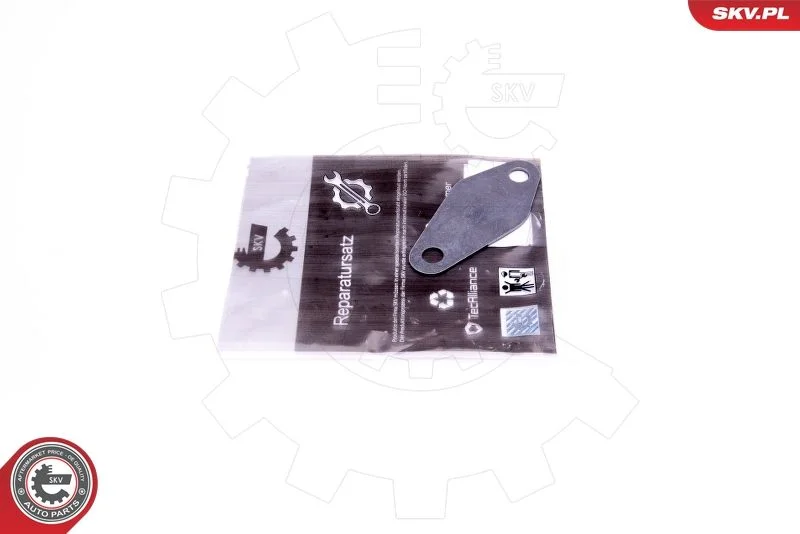 Repair Set, EGR valve ESEN SKV 14SKV573