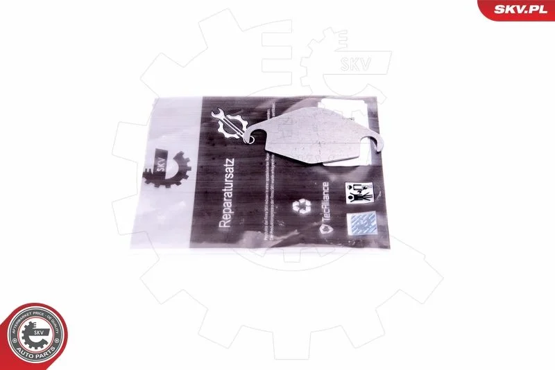 Repair Set, EGR valve ESEN SKV 14SKV576