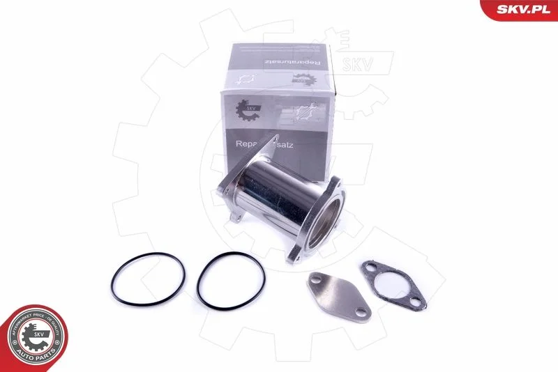 Kit de Reparação, válvula EGR ESEN SKV 14SKV582
