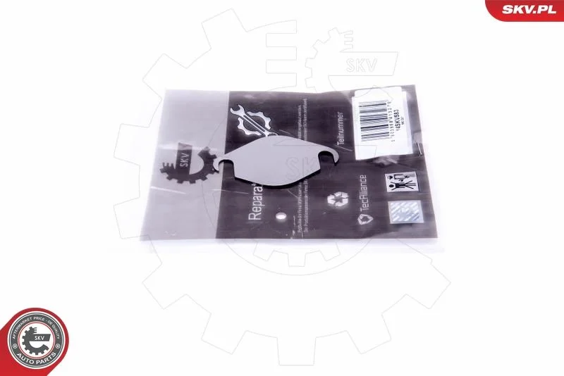 Kit de Reparação, válvula EGR ESEN SKV 14SKV583