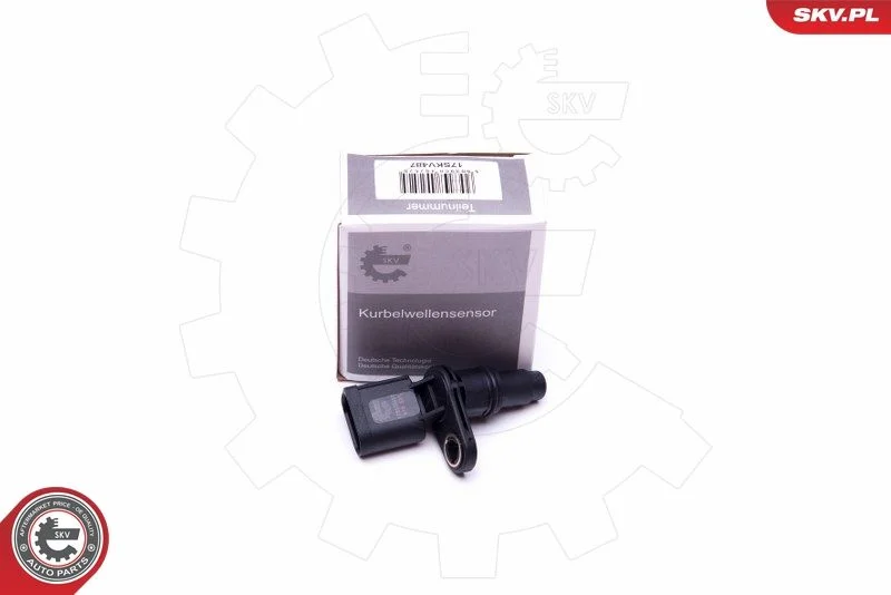 Sensor, posição do comando de válvulas ESEN SKV 17SKV487