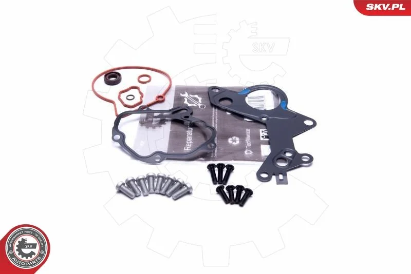Conjunto de Reparo, bomba de vácuo (sistema de frenagem) ESEN SKV 18SKV801