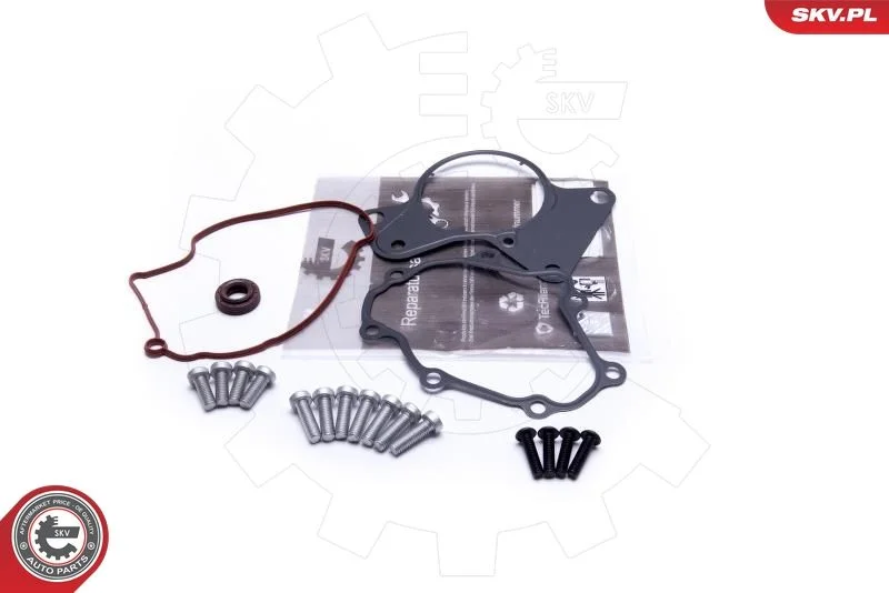 Conjunto de Reparo, bomba de vácuo (sistema de frenagem) ESEN SKV 18SKV802