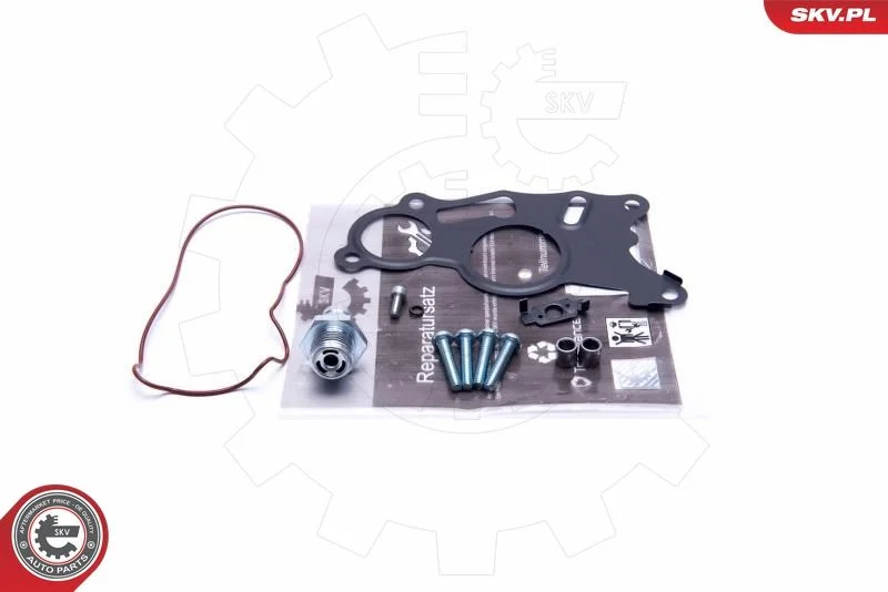 Conjunto de Reparo, bomba de vácuo (sistema de frenagem) ESEN SKV 18SKV803