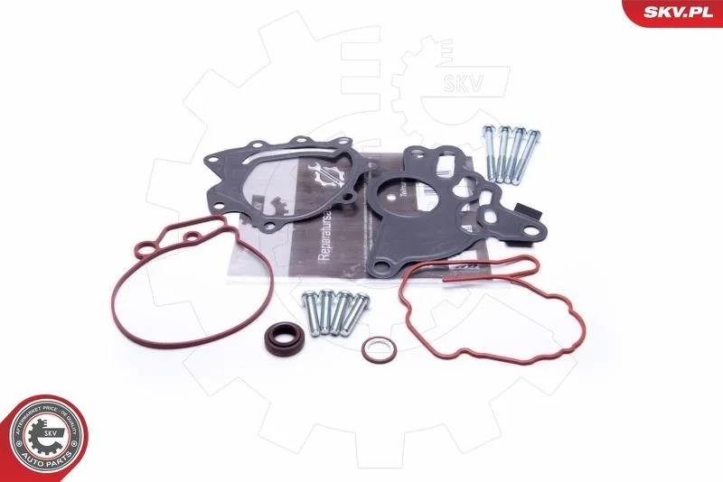 Conjunto de Reparo, bomba de vácuo (sistema de frenagem) ESEN SKV 18SKV804