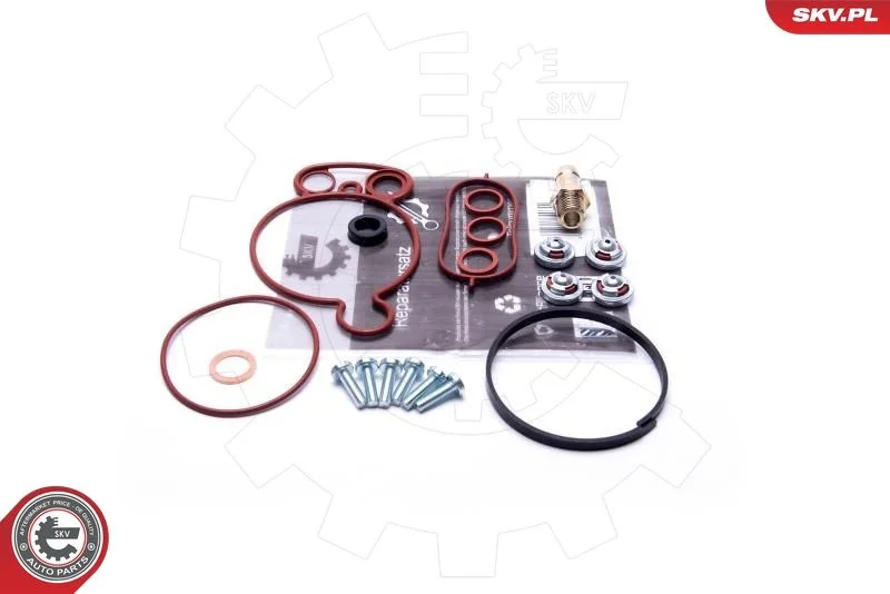 Conjunto de Reparo, bomba de vácuo (sistema de frenagem) ESEN SKV 18SKV805