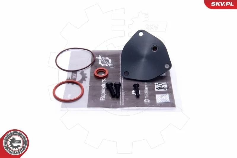 Conjunto de Reparo, bomba de vácuo (sistema de frenagem) ESEN SKV 18SKV806