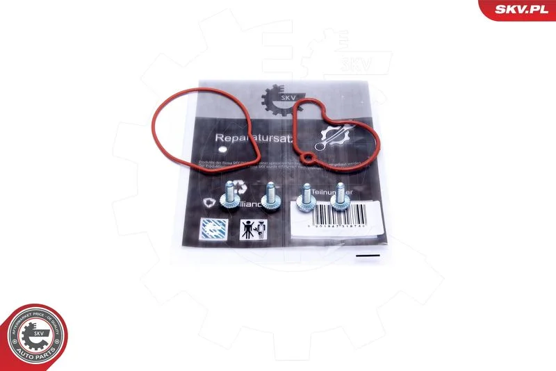 Conjunto de Reparo, bomba de vácuo (sistema de frenagem) ESEN SKV 18SKV807